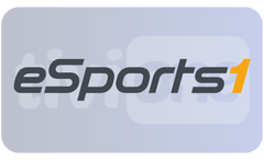 ┃DE┃ ESPORTS 1 FHD